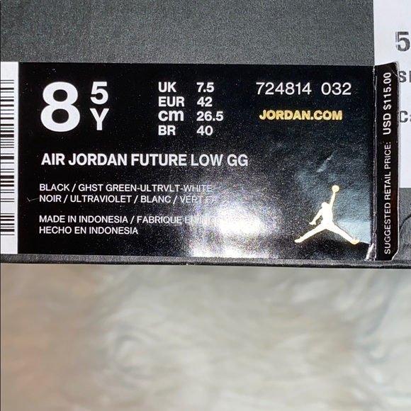 Air Jordan Future Low GG - Picture 8 of 8